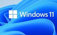 新的Windows 11测试版推出更多更改