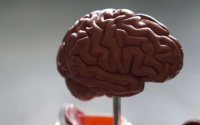 研究人员发现维生素D越多的大脑功能越好