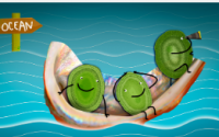一项新的研究表明碳捕获浮游植物通过漂流几丁质颗粒在海洋中定居