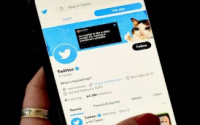 Twitter为视频添加画中画模式15秒后退和前进按钮