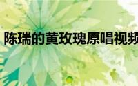 陈瑞的黄玫瑰原唱视频（陈瑞的黄玫瑰原唱）
