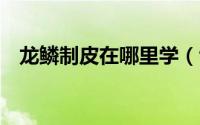 龙鳞制皮在哪里学（tbc怎么学龙鳞制皮）