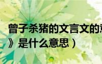 曾子杀猪的文言文的意思（文言文《曾子杀猪》是什么意思）