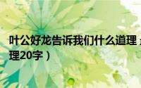 叶公好龙告诉我们什么道理 最佳答案（叶公好龙的意思和道理20字）