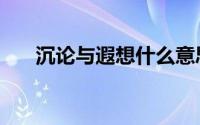 沉论与遐想什么意思（遐想什么意思）