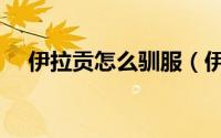 伊拉贡怎么驯服（伊拉贡坐骑必爆技巧）