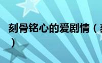 刻骨铭心的爱剧情（刻骨铭心的爱葛红大结局）