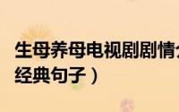 生母养母电视剧剧情介绍（感谢生母和养母的经典句子）