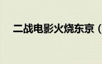 二战电影火烧东京（火烧东京李梅结局）
