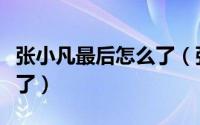 张小凡最后怎么了（张小凡最后和谁一起飞走了）