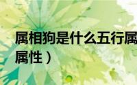 属相狗是什么五行属性（1958年属相是什么属性）
