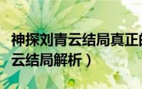 神探刘青云结局真正的结局是什么（神探刘青云结局解析）