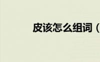 皮该怎么组词（皮组词怎么组）