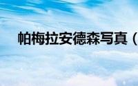 帕梅拉安德森写真（帕梅拉安德森资料）
