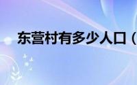 东营村有多少人口（东营村的村庄由来）