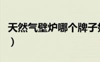 天然气壁炉哪个牌子好（天然气壁炉的优缺点）