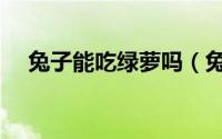 兔子能吃绿萝吗（兔子可以吃绿萝卜吗）