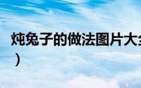 炖兔子的做法图片大全窍门（炖兔子家常做法）