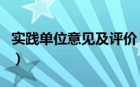 实践单位意见及评价（实践单位意见简短通用）