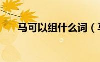 马可以组什么词（马可以组什么偏旁）