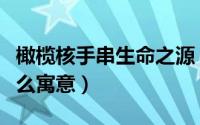 橄榄核手串生命之源（橄榄核手串生命之源什么寓意）