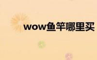 wow鱼竿哪里买（wow鱼竿出处）
