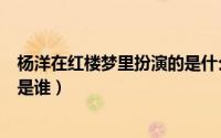 杨洋在红楼梦里扮演的是什么角色（杨洋在红楼梦里扮演的是谁）