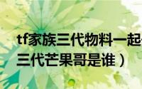 tf家族三代物料一起去做n件事合集（tf家族三代芒果哥是谁）