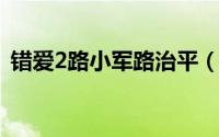 错爱2路小军路治平（错爱路小军的扮演者）