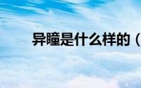 异瞳是什么样的（异瞳是什么意思）