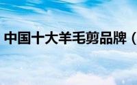 中国十大羊毛剪品牌（中国十大羊毛衣品牌）