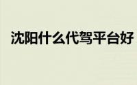 沈阳什么代驾平台好（沈阳什么代驾便宜）