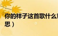 你的样子这首歌什么意思（你的样子歌词啥意思）