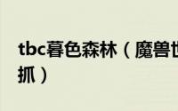 tbc暮色森林（魔兽世界暮色森林灵魂兽怎么抓）