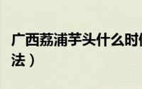 广西荔浦芋头什么时候上市（广西荔浦芋头做法）