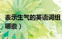 表示生气的英语词组（表示生气的英文名词有哪些）