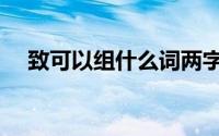 致可以组什么词两字（致可以组什么词）