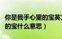 你是我手心里的宝英文怎么写（你是我手心里的宝什么意思）