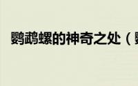 鹦鹉螺的神奇之处（鹦鹉螺的后代都有谁）