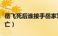岳飞死后谁接手岳家军（岳飞死后多久宋朝灭亡）
