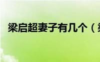 梁启超妻子有几个（梁启超最漂亮的妻子）