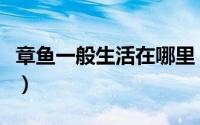 章鱼一般生活在哪里（章鱼生活在多深的海里）