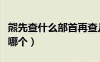 熊先查什么部首再查几画（熊查笔画先查部首哪个）