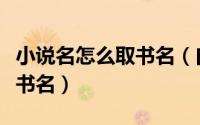 小说名怎么取书名（白晚晚陆北辰小说是什么书名）