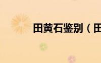田黄石鉴别（田黄石鉴定方法）