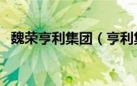 魏荣亨利集团（亨利集团是一个什么公司）