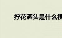拧花洒头是什么梗（拧花洒什么梗）