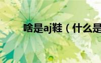 啥是aj鞋（什么是aj鞋子,什么意思）