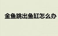 金鱼跳出鱼缸怎么办（金鱼跳出鱼缸预兆）