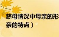 慈母情深中母亲的形象是什么（慈母情深2母亲的特点）